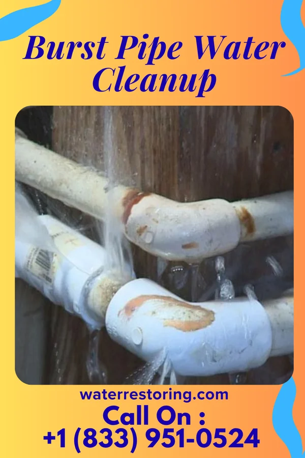 Burst Pipe Water Cleanup in South Cleveland, TN