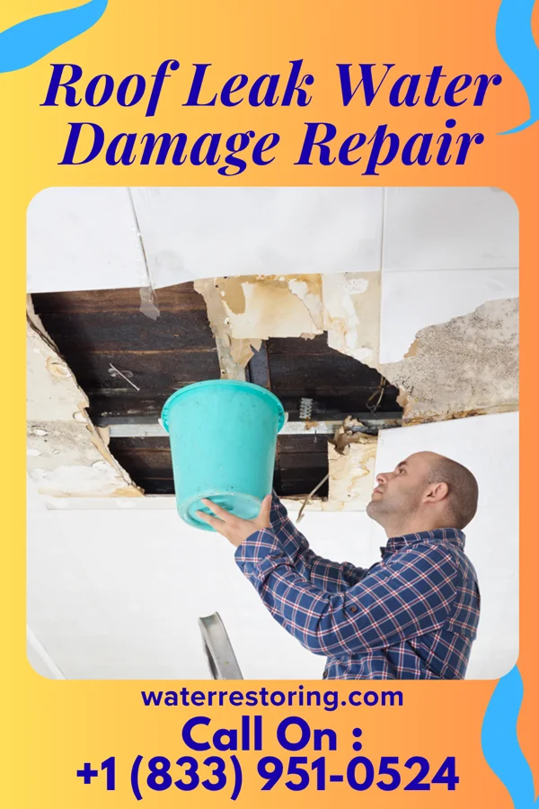 Roof Leak Water Damage Repair in South Cleveland, TN