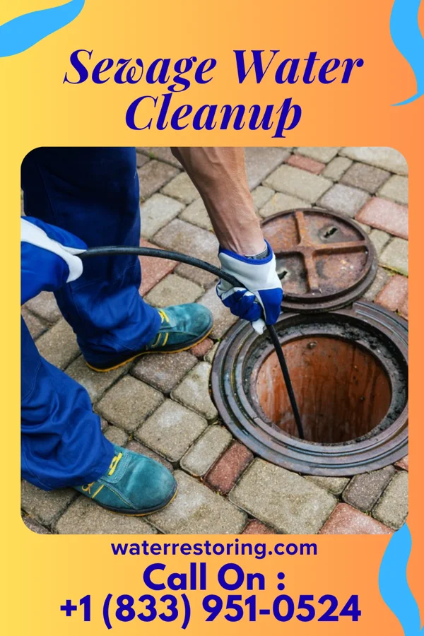 Sewage Water Cleanup in South Cleveland, TN