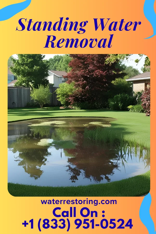 Standing Water Removal in South Cleveland, TN